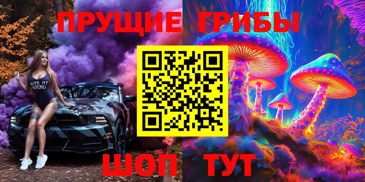 Галлюциногенные грибы Psilocybine cubensis Еманжелинск